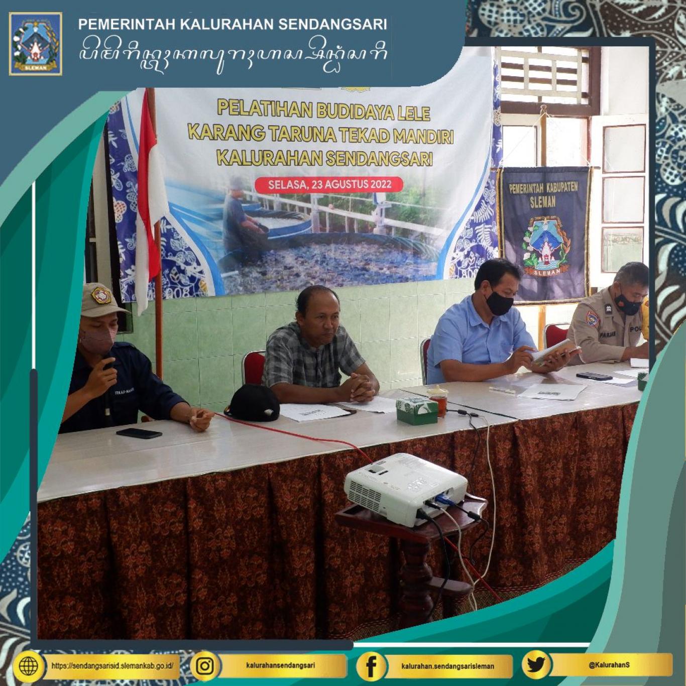 Pelatihan Budidaya Lele Bagi Anggota Karang Taruna Tekad Mandiri Kalurahan Sendangsari