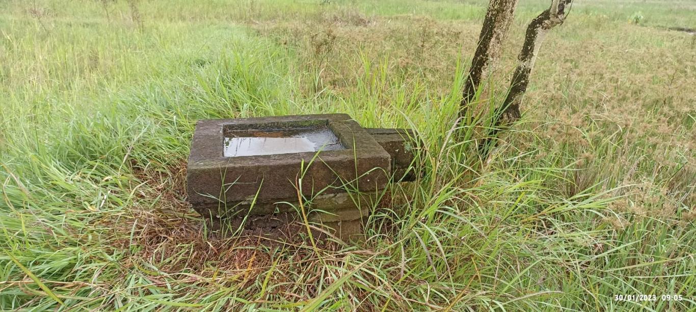 Peninggalan Purbakala Yoni di Bulak Denokan Kalurahan Sendangsari