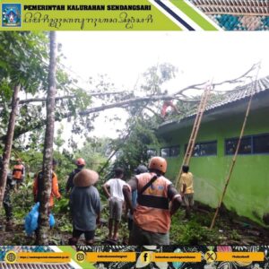 Aksi Cepat Evakuasi Pohon Tumbang di SD Negeri Sutan