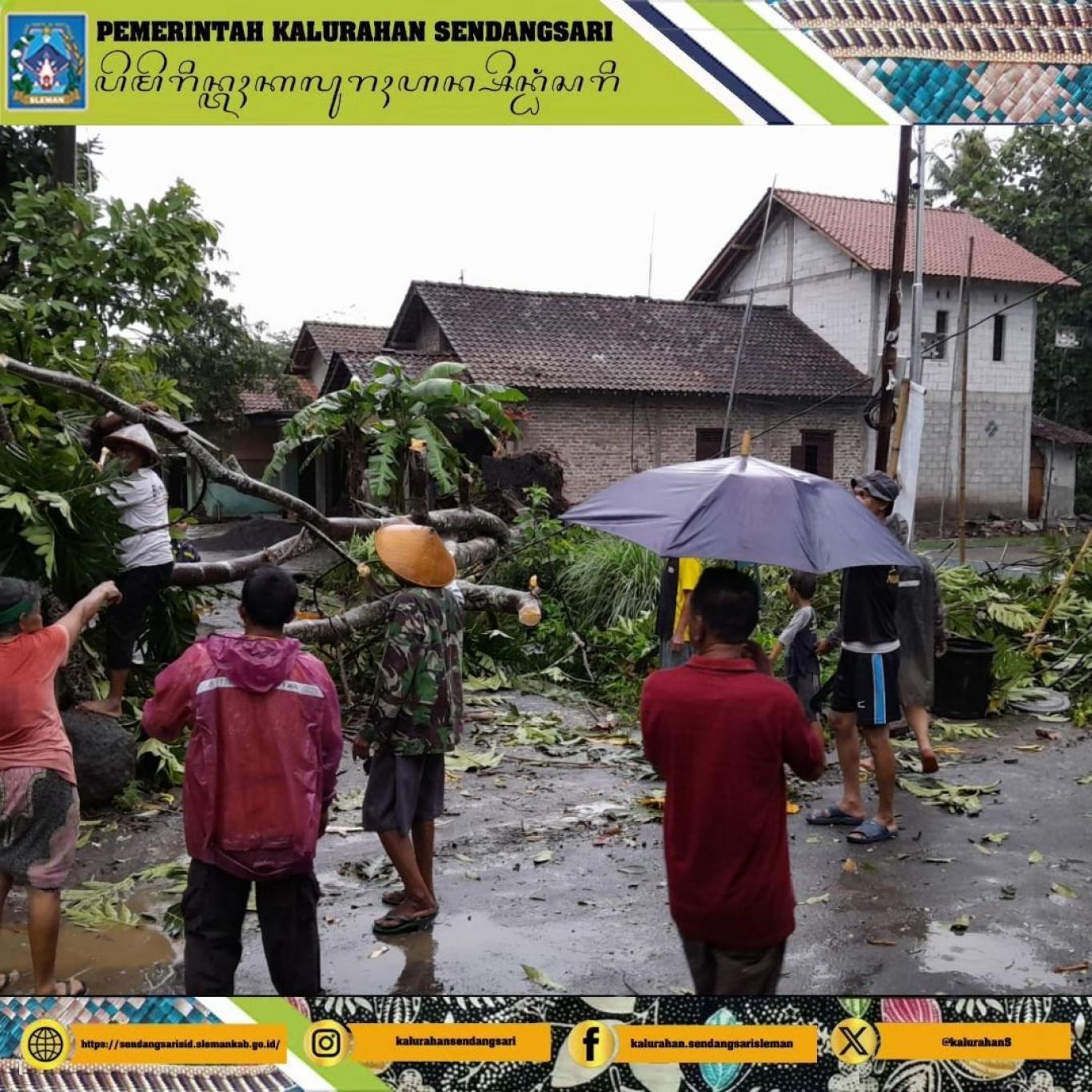 Dampak Cuaca Ekstrem Pohon Tumbang Timpa Beberapa titik di Sendangsari