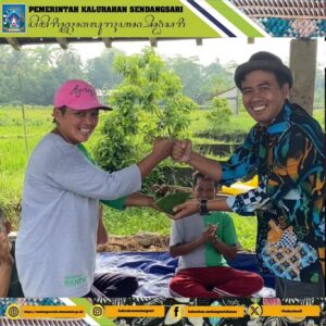 Lomba Tanam Timun Baby Bupati Sleman Cup 2023 KWT Ngudi Mulyo
