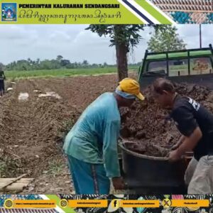 Lurah Sendangsari Mengunjungi Petani Milenial Hortikultura Sendangsari