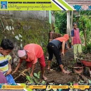 Kegiatan Warga Parakan Kulon Pembuatan Lahan untuk KWT