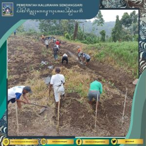 Pelaksanaan Padat Karya Tunai Dana Desa (PKTD) T.A 2024 Kalurahan Sendangsari