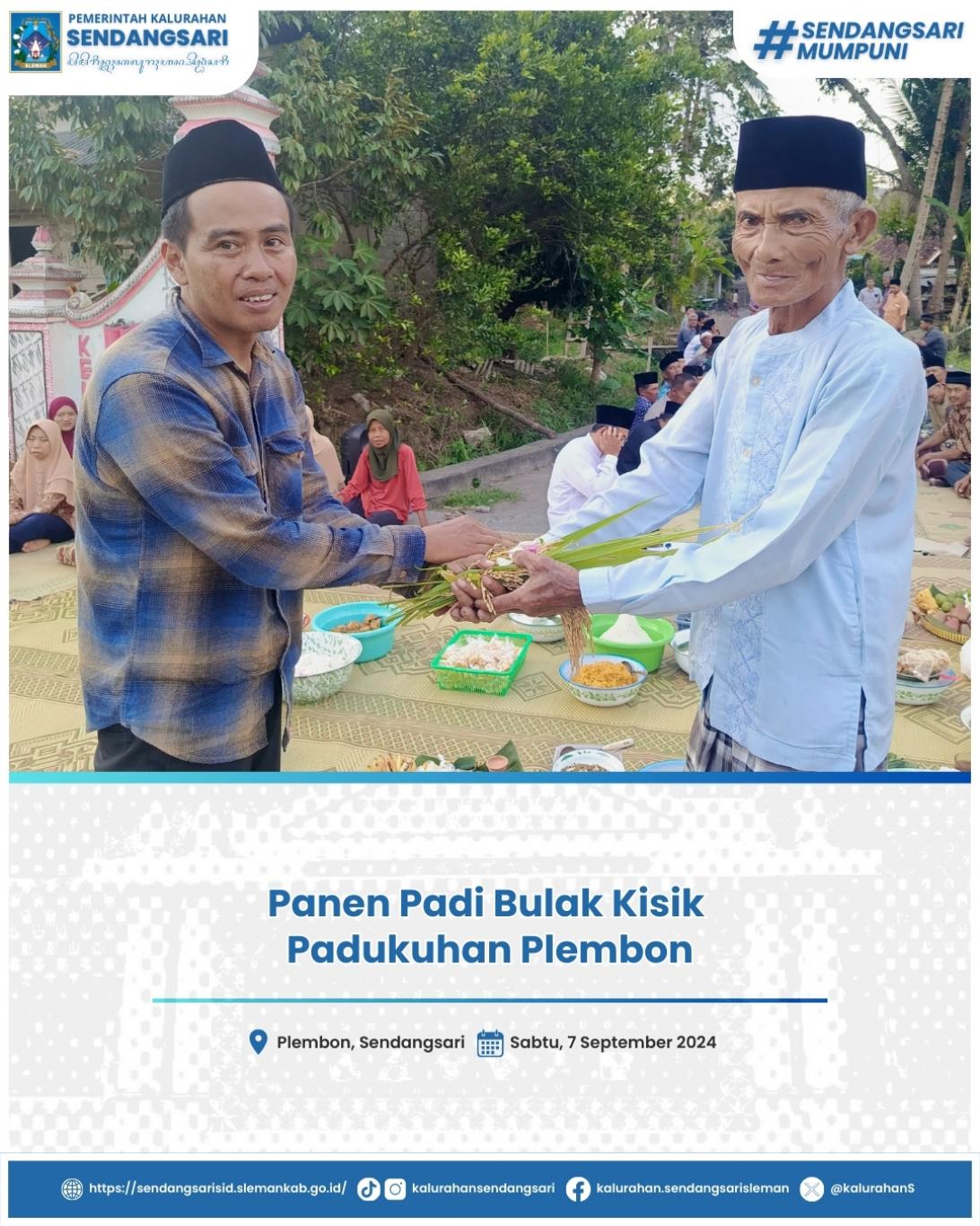 Panen Padi Bulak Kisik Padukuhan Plembon
