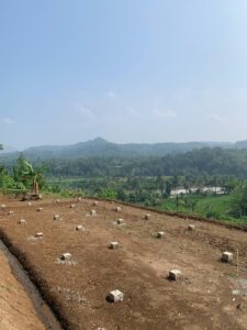 Proses Pembukaan Lahan Ketahanan Pangan Kalurahan Sendangsari Tahun Anggaran 2025