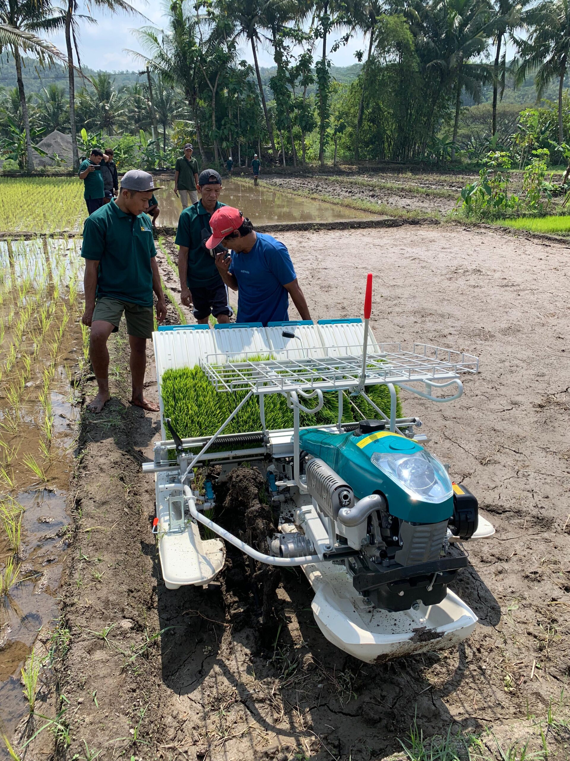 Uji coba mesin tanan padi modern untuk membantu petani sendangsari