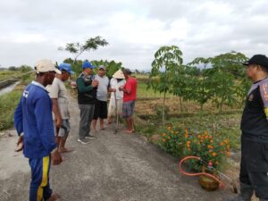 Monitoring Kegiatan Gropyok Tikus