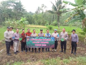 Polsek Minggir Melaksanakan Penanaman Jagung Dalam Rangka Program Ketahanan Pangan