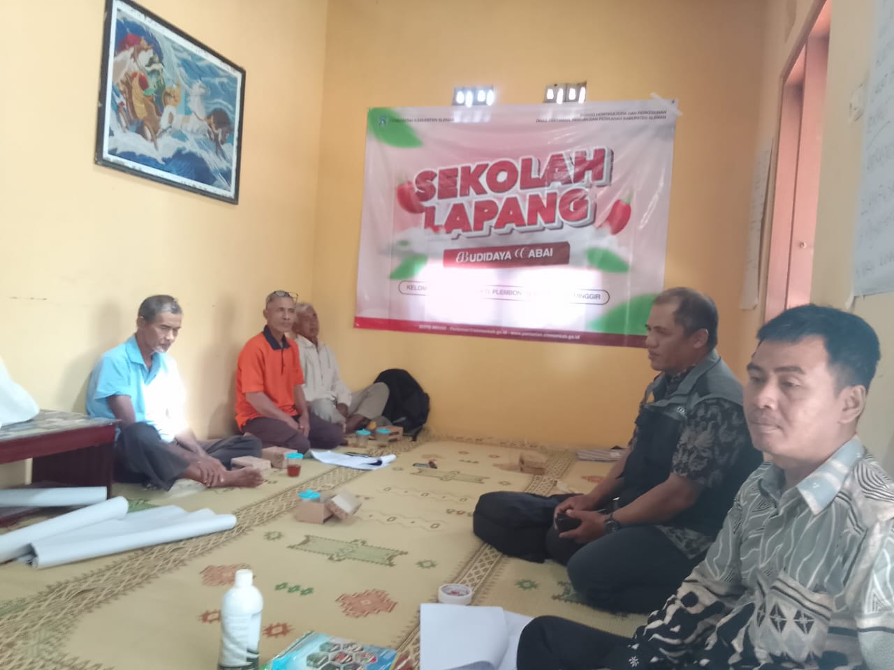 SEKOLAH LAPANG BUDIDAYA CABAI KELOMPOK TANI PUJO MUKTI