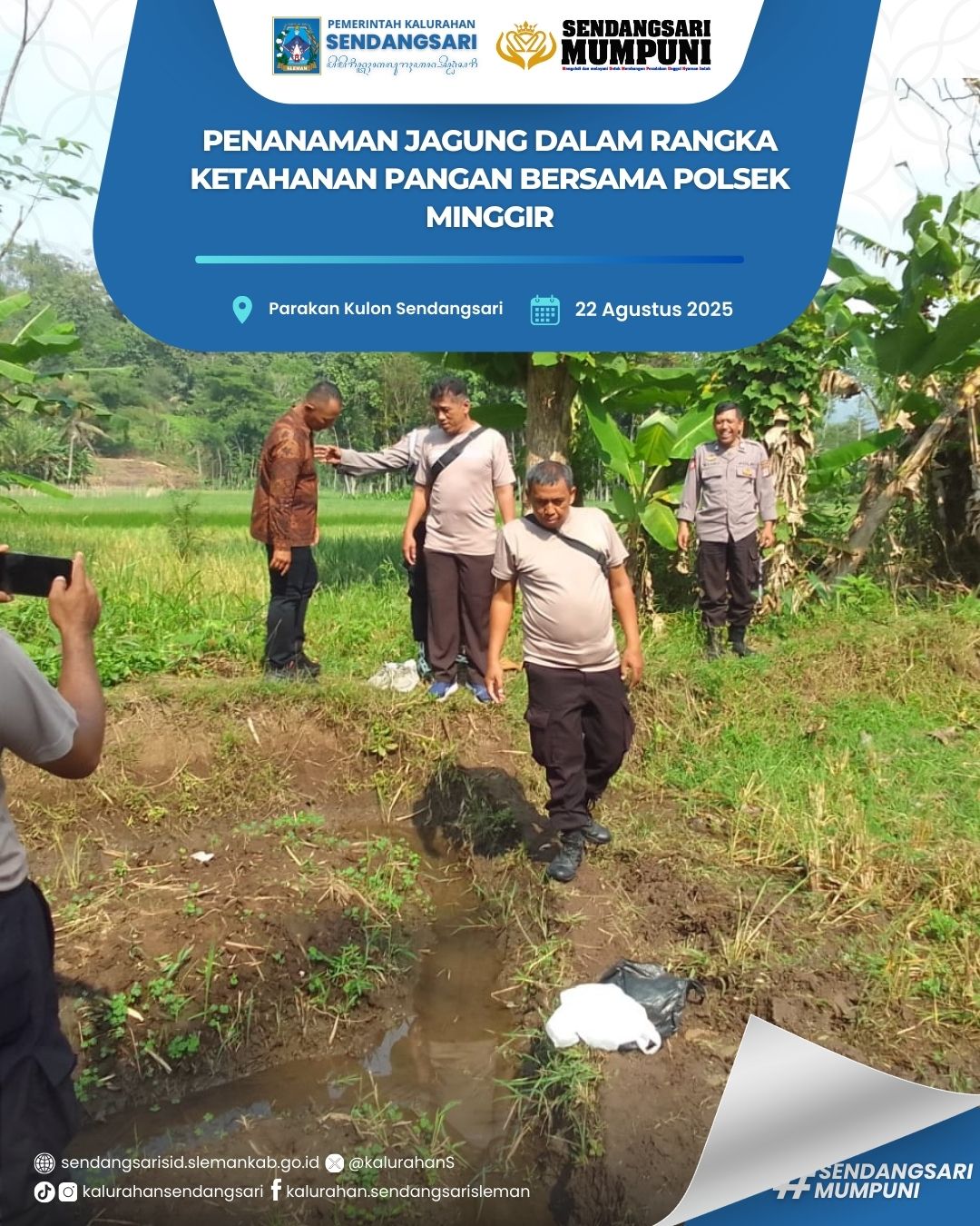 Polsek Minggir Kembali Melaksanakan Penanaman Jagung Dalam Rangka Program Ketahanan Pangan