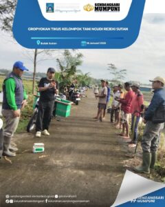 GROPYOKAN TTIKUS KELOMPOK TANI NGUDI REJEKI SUTAN