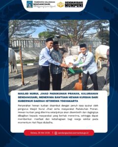 BANTUAN SAPI KURBAN DARI GUBERNUR DIY