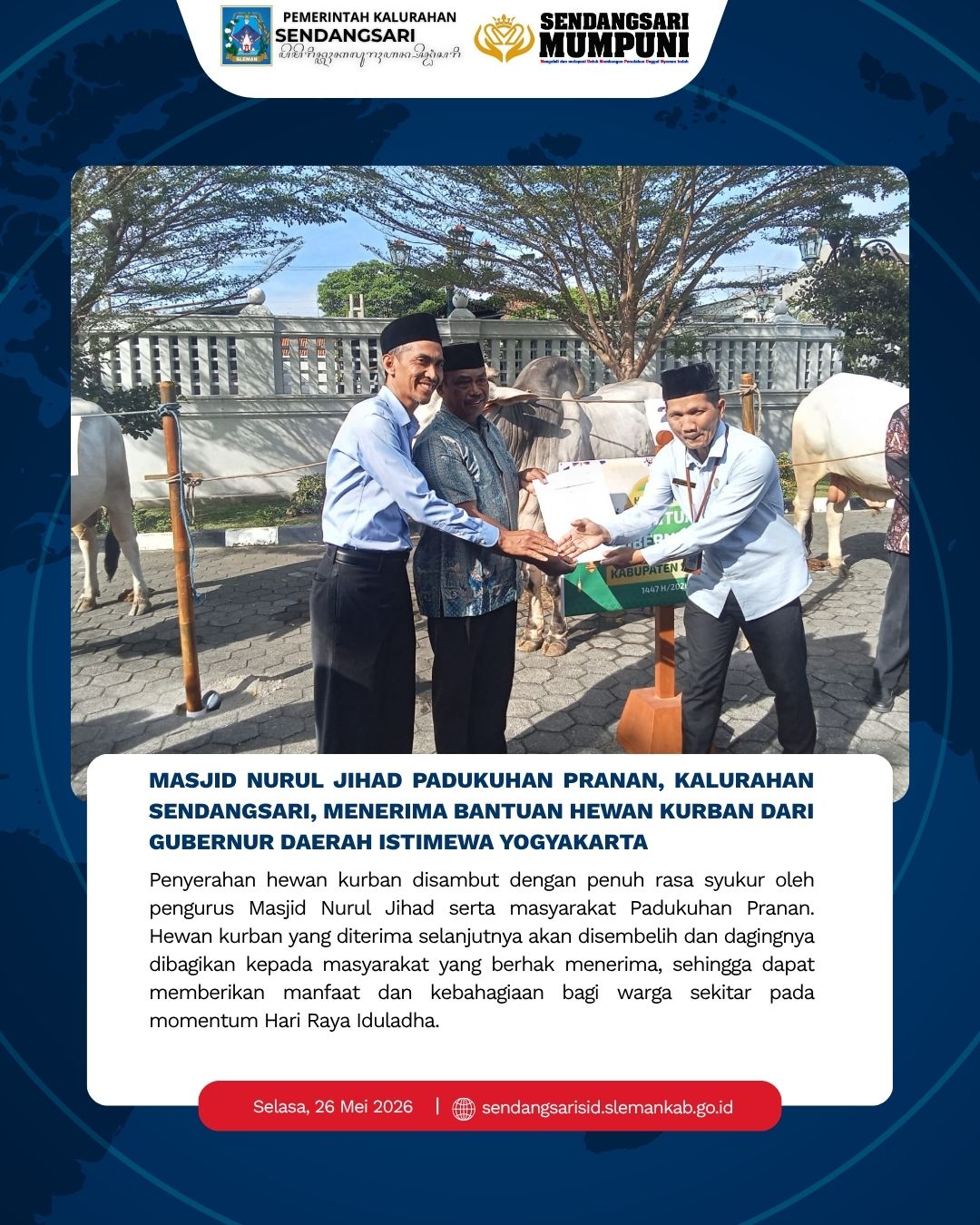 BANTUAN SAPI KURBAN DARI GUBERNUR DIY